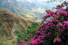 Ecuador-Highlands-Cloud Forest to Highland Ride